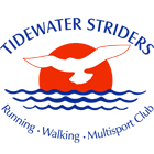 Tidewater Striders